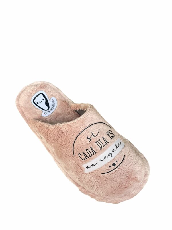 ZAPATILLAS SI CADA DIA DEVOLVER LUNES