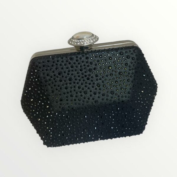 CARTERA BRILLOS