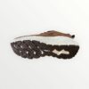 SNEAKERS ATOLON 2526