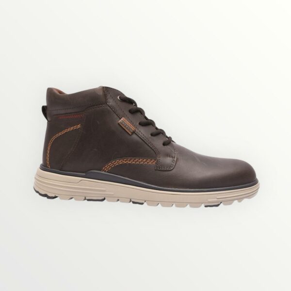 IMG-20251006-WA0050 BOTIN 9351