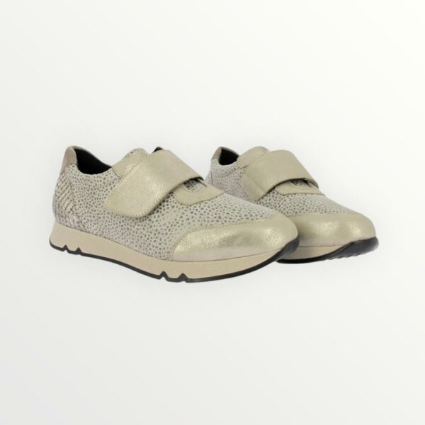 IMG-20251022-WA0103 ZAPATO DEPORTIVO 82833
