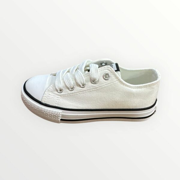 WhatsApp Image 2026-01-23 at 20.02.57 (1) PUNTERA BASICA