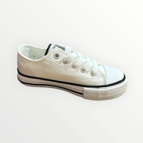 WhatsApp Image 2026-01-23 at 20.02.57 (2) PUNTERA BASICA