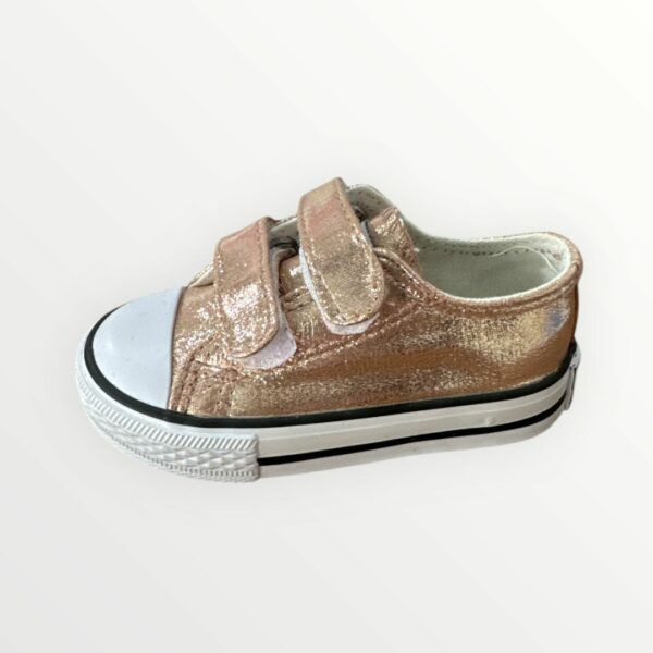 WhatsApp Image 2026-01-24 at 12.13.34 (1) PUNTERA METALIZADA