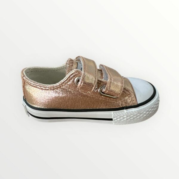 WhatsApp Image 2026-01-24 at 12.13.34 (2) PUNTERA METALIZADA