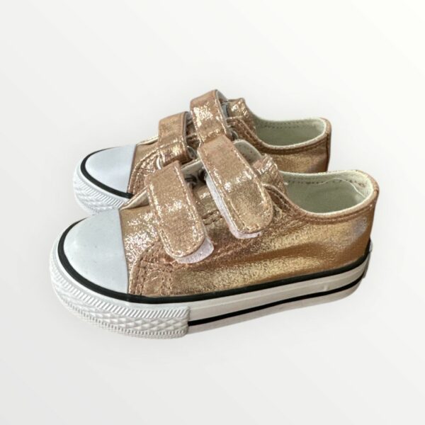 WhatsApp Image 2026-01-24 at 12.13.34 PUNTERA METALIZADA