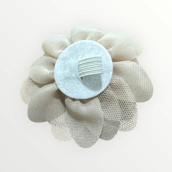 WhatsApp Image 2026-02-03 at 18.24.33 FLORES