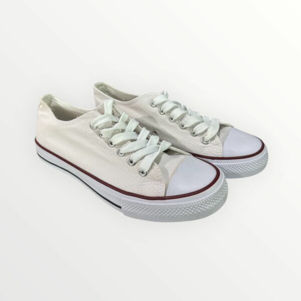 WhatsApp Image 2026-02-05 at 19.04.56 (2) PUNTERA BASICA 888-1