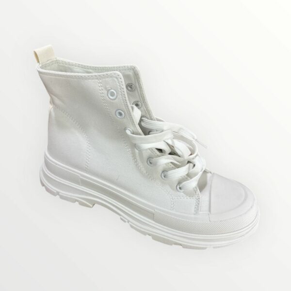 WhatsApp Image 2026-02-07 at 13.02.10 BOTIN PUNTERA