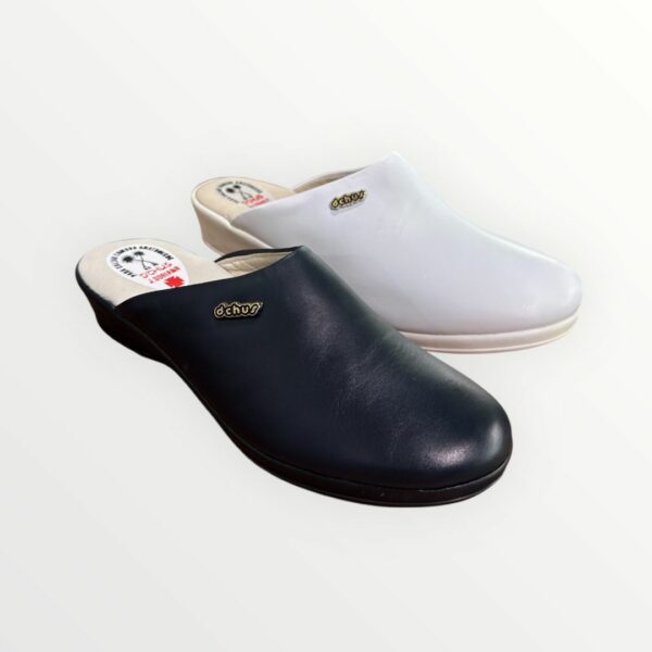 WhatsApp Image 2026-02-11 at 19.24.38 ZUECO ANATOMICO 6090