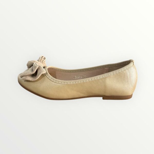 WhatsApp Image 2026-02-14 at 11.07.51 (7) MERCEDITA LAZO MD 2702