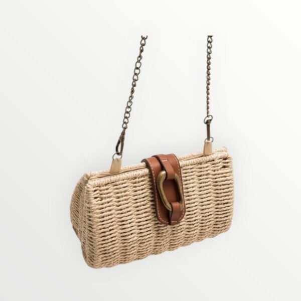 WhatsApp Image 2026-04-06 at 12.51.15 PM (2) BOLSO RAFIA SHELL