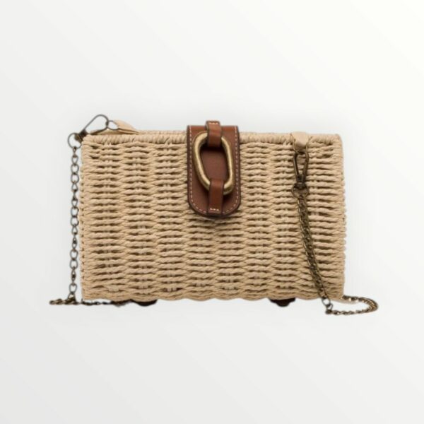 WhatsApp Image 2026-04-06 at 12.51.15 PM (5) BOLSO RAFIA SHELL